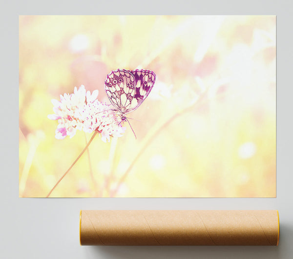 Butterfly Haze Poster