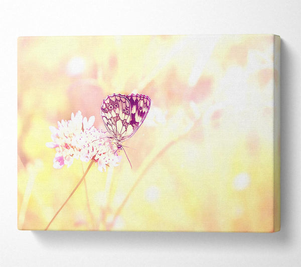  A Canvas Print of Butterfly Haze Canvas Wall Art