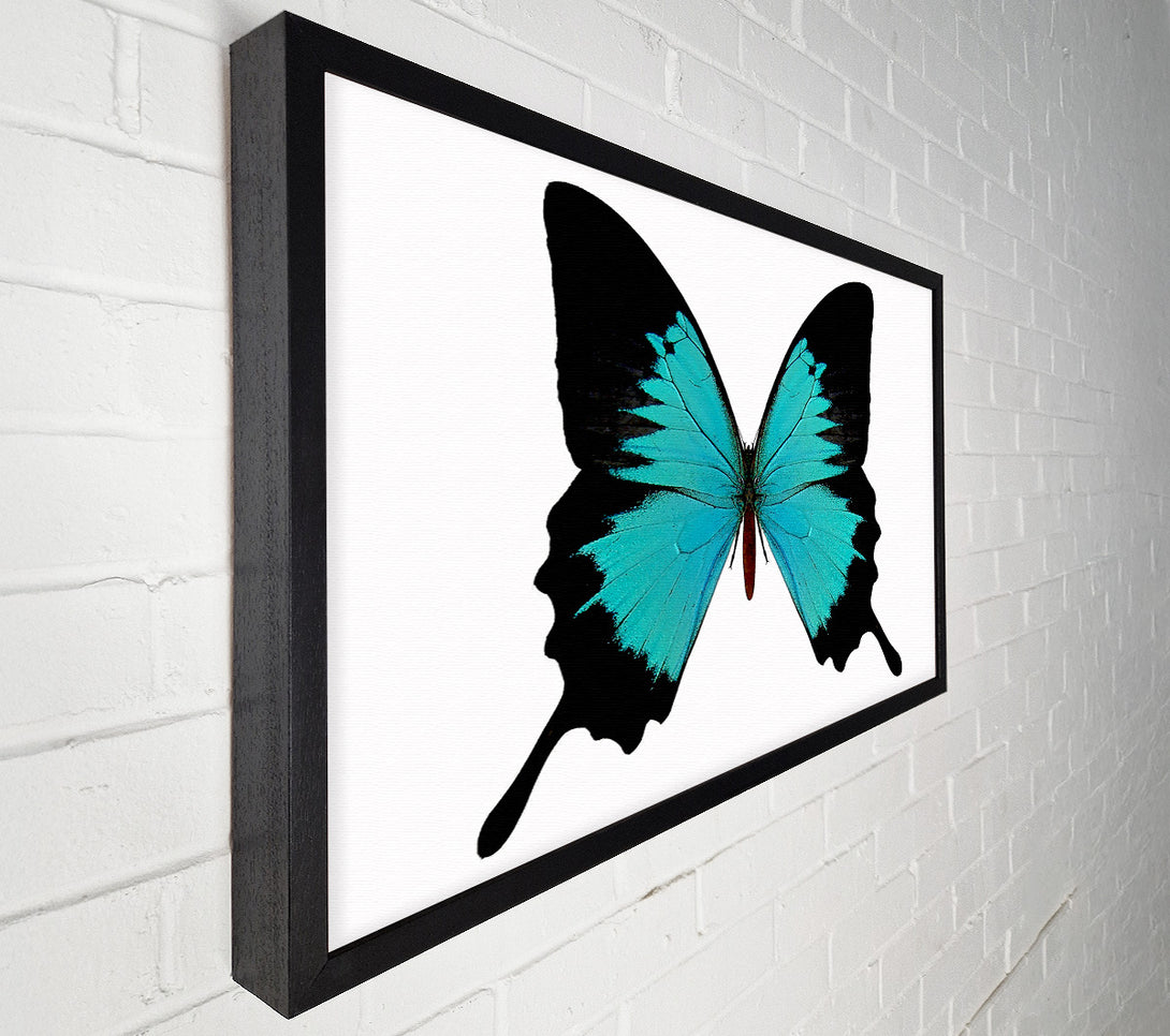  A Canvas Print of Butterfly Beauty Canvas Print