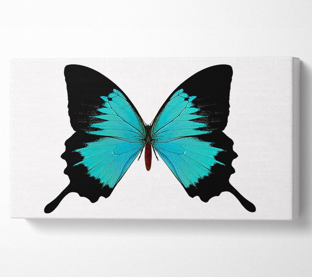  A Canvas Print of Butterfly Beauty Canvas Print