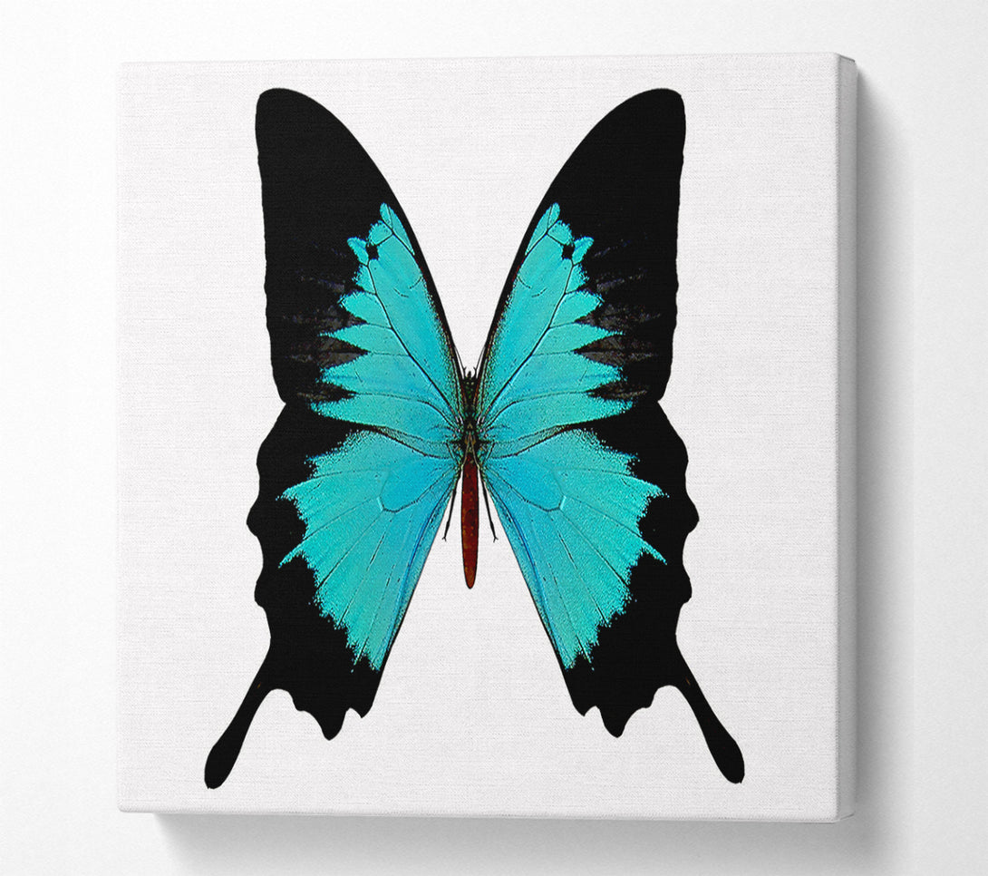  A Canvas Print of Butterfly Beauty Canvas Print