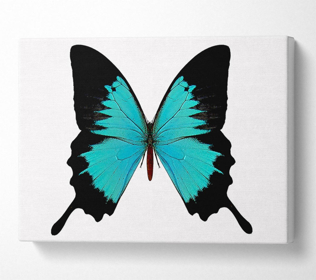  A Canvas Print of Butterfly Beauty Canvas Print