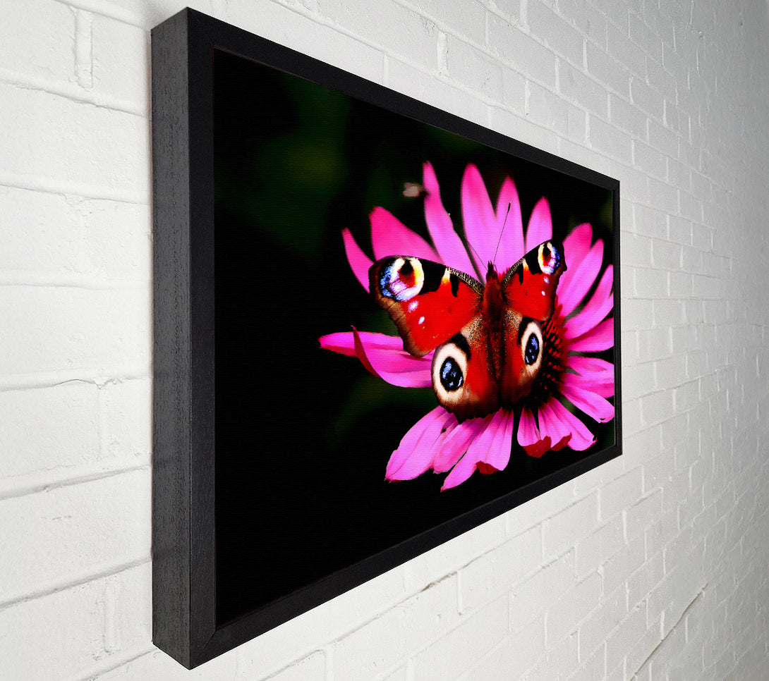  A Canvas Print of Butterfly Infusion Canvas Wall Art