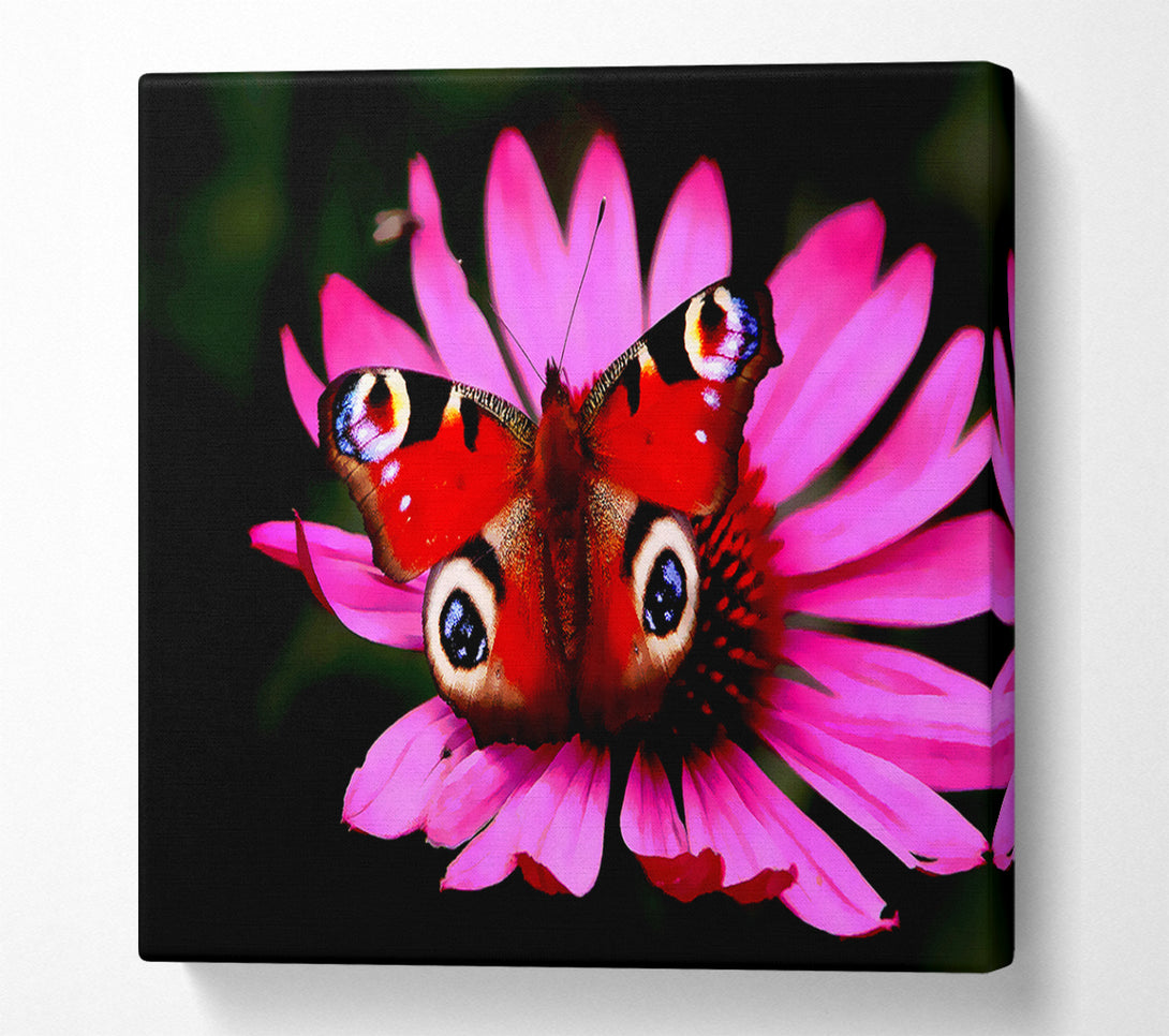  A Canvas Print of Butterfly Infusion Canvas Wall Art
