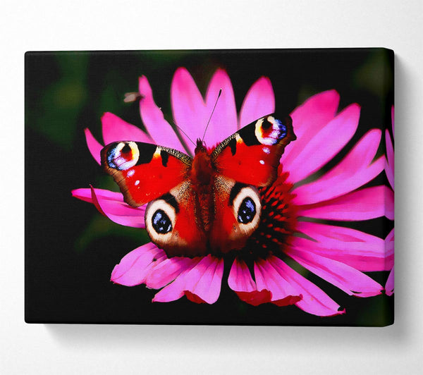 A Canvas Print of Butterfly Infusion Canvas Wall Art