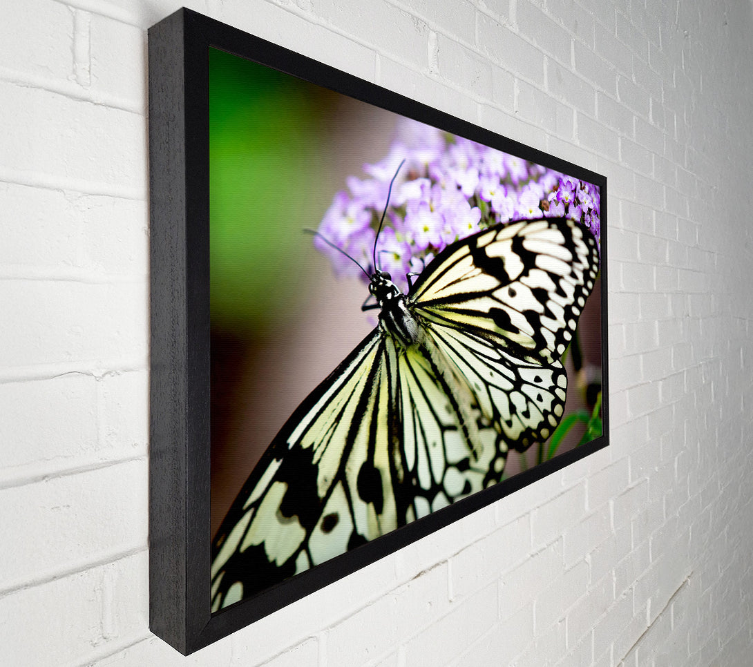  A Canvas Print of Butterfly Pattern Canvas Print