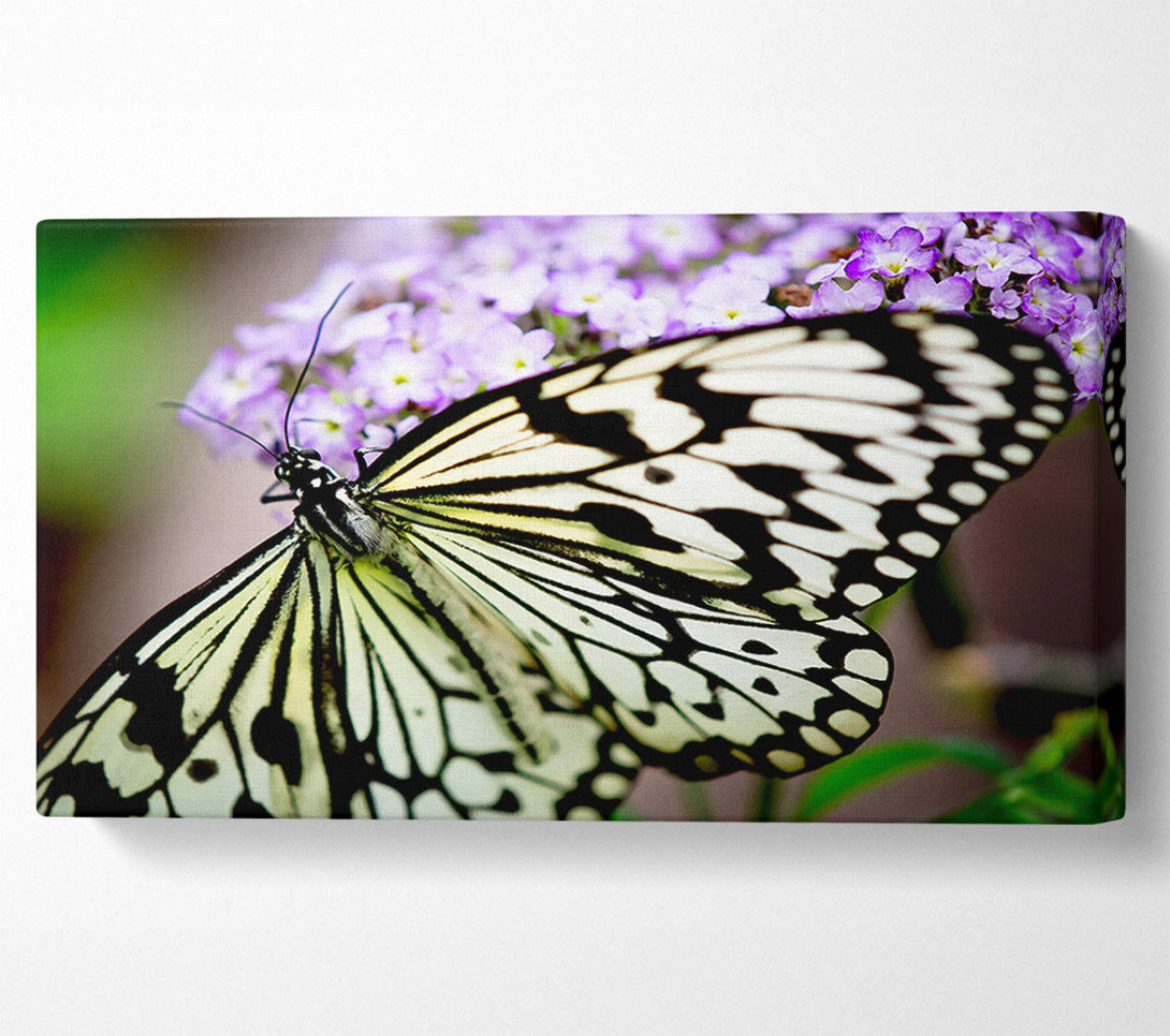  A Canvas Print of Butterfly Pattern Canvas Print