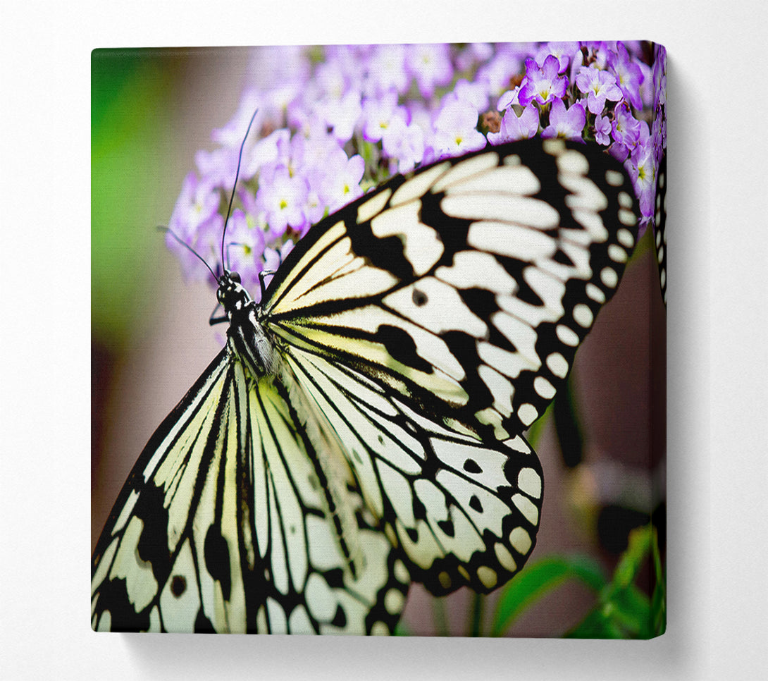  A Canvas Print of Butterfly Pattern Canvas Print