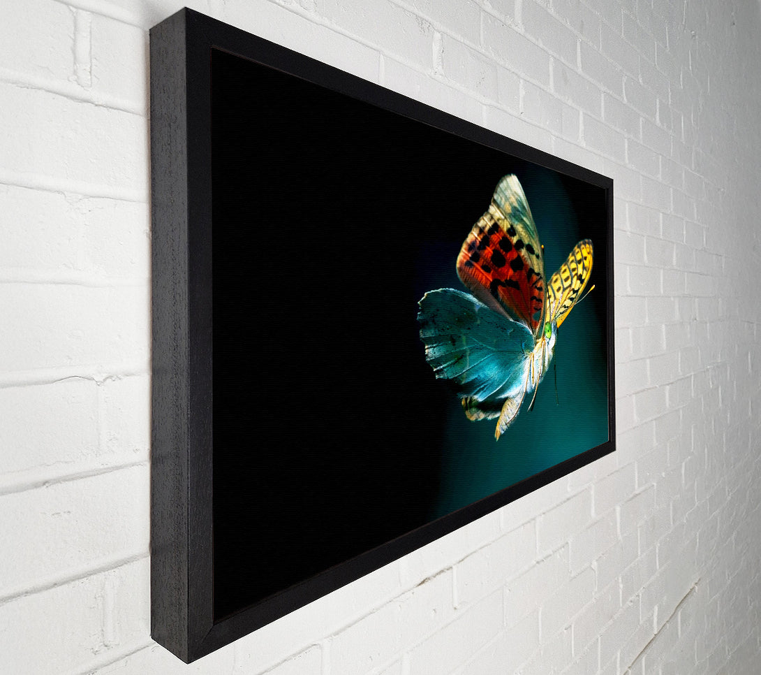  A Canvas Print of Butterfly Rainbow Canvas Print