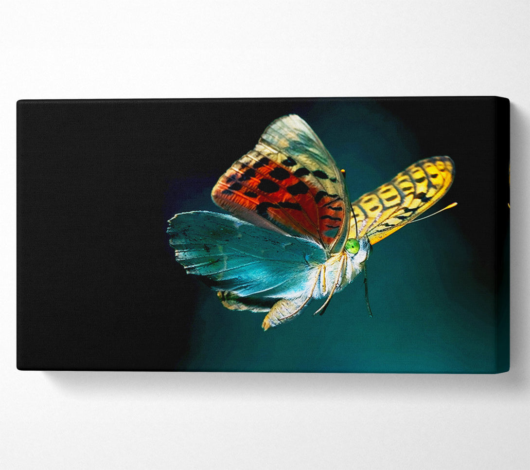  A Canvas Print of Butterfly Rainbow Canvas Print