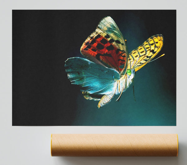 Butterfly Rainbow Giclee Print