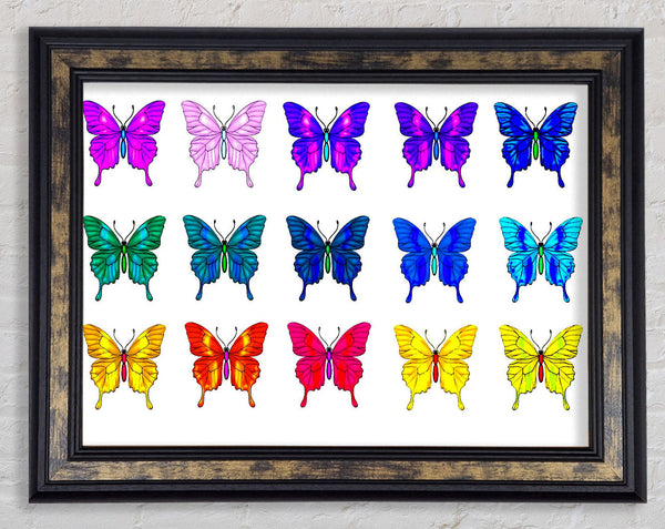 Butterfly Tribe Framed Print