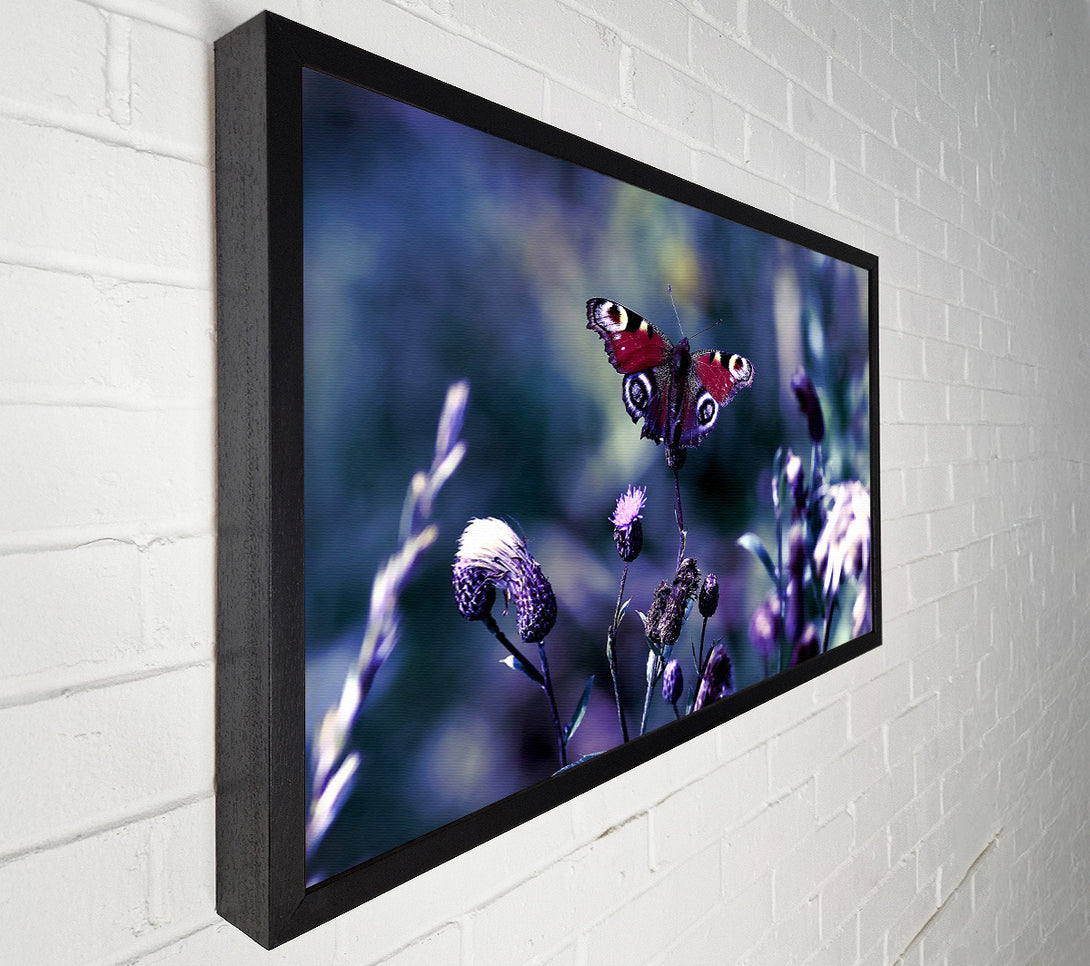  A Canvas Print of Butterfly With Open Wings Canvas Wall Art