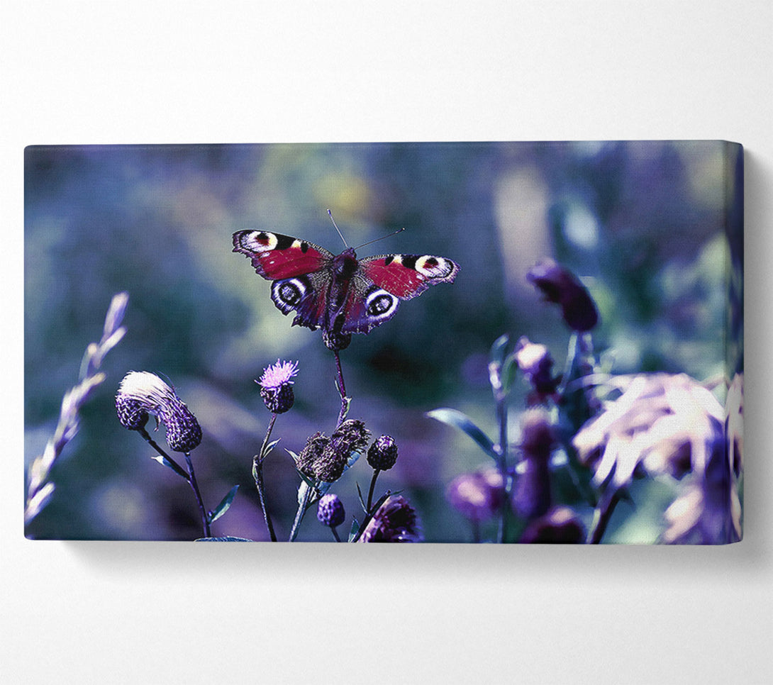  A Canvas Print of Butterfly With Open Wings Canvas Wall Art