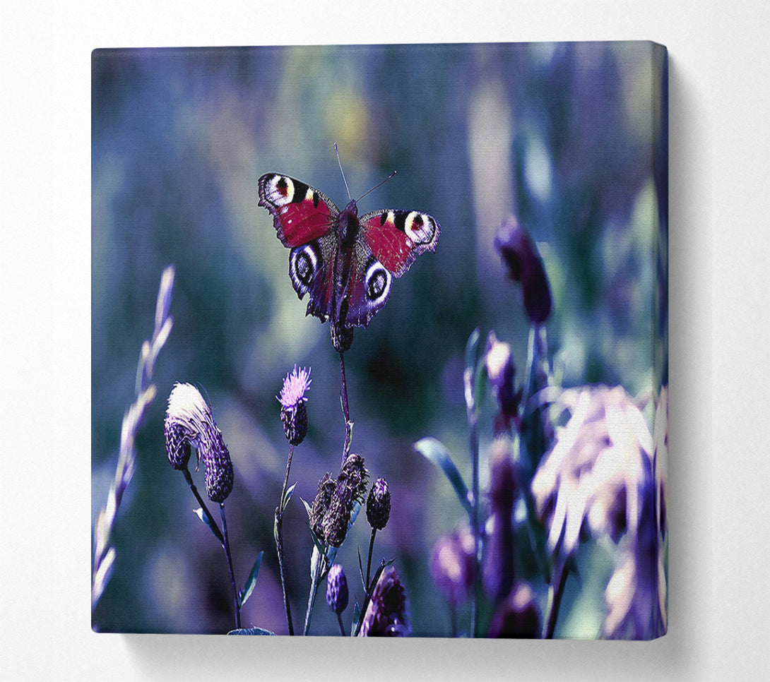  A Canvas Print of Butterfly With Open Wings Canvas Wall Art