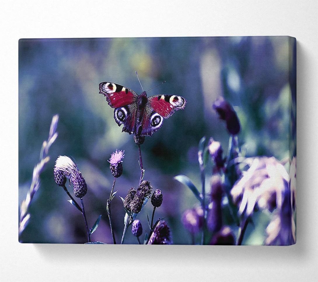  A Canvas Print of Butterfly With Open Wings Canvas Wall Art