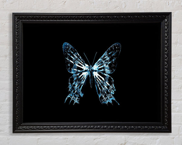 Butterfly X Ray Framed Print