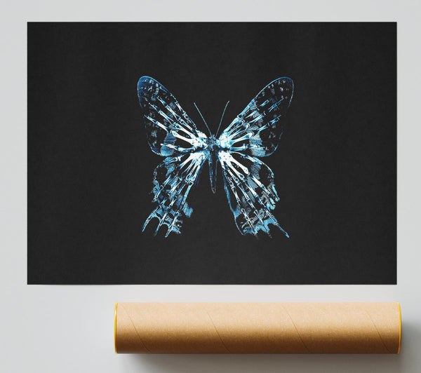 Butterfly X Ray Giclee Print