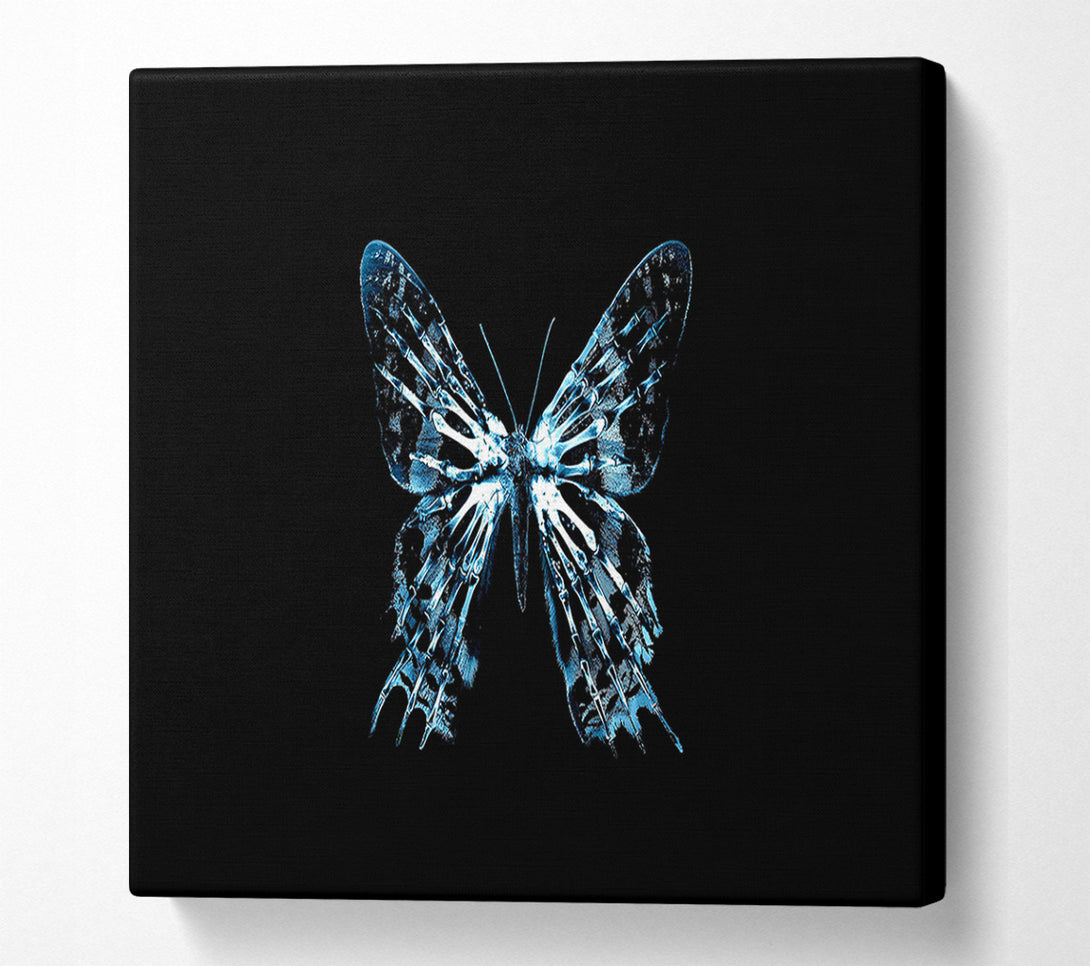  A Canvas Print of Butterfly X Ray Canvas Wall Art