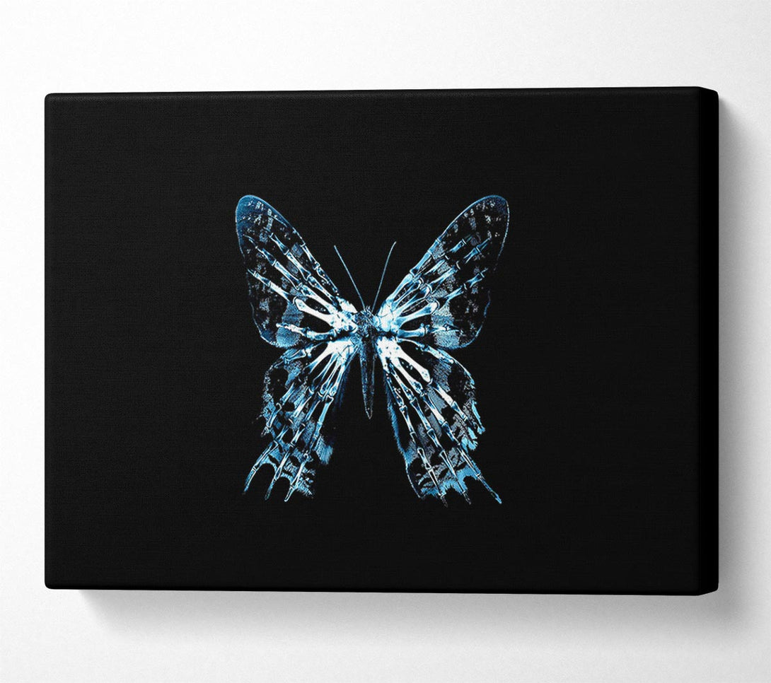  A Canvas Print of Butterfly X Ray Canvas Wall Art