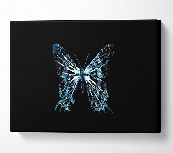  A Canvas Print of Butterfly X Ray Canvas Wall Art