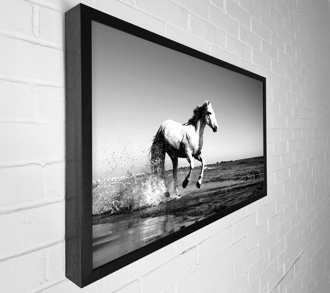  A Canvas Print of Camargue White Horse Canvas Wall Art