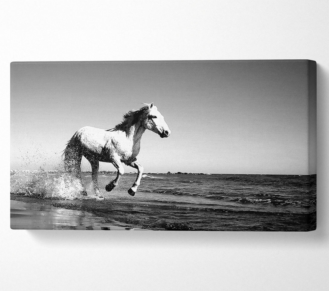  A Canvas Print of Camargue White Horse Canvas Wall Art