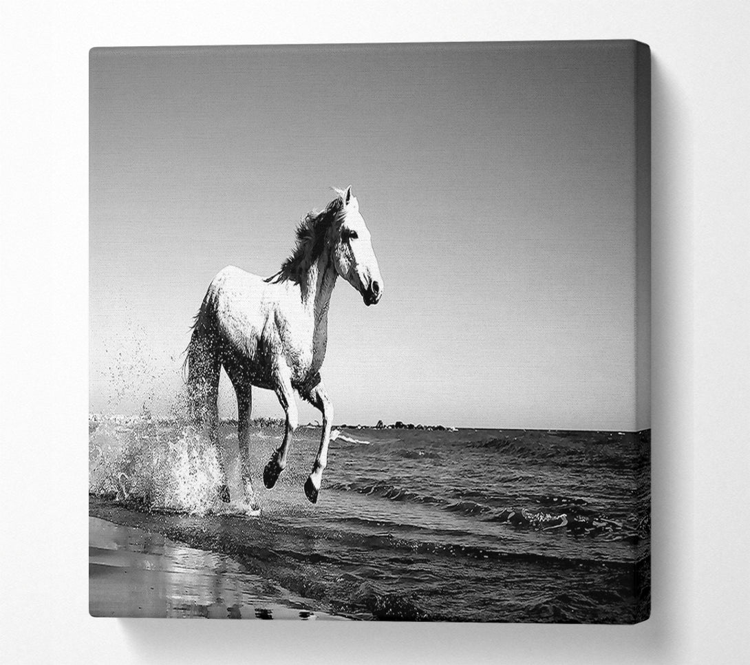  A Canvas Print of Camargue White Horse Canvas Wall Art