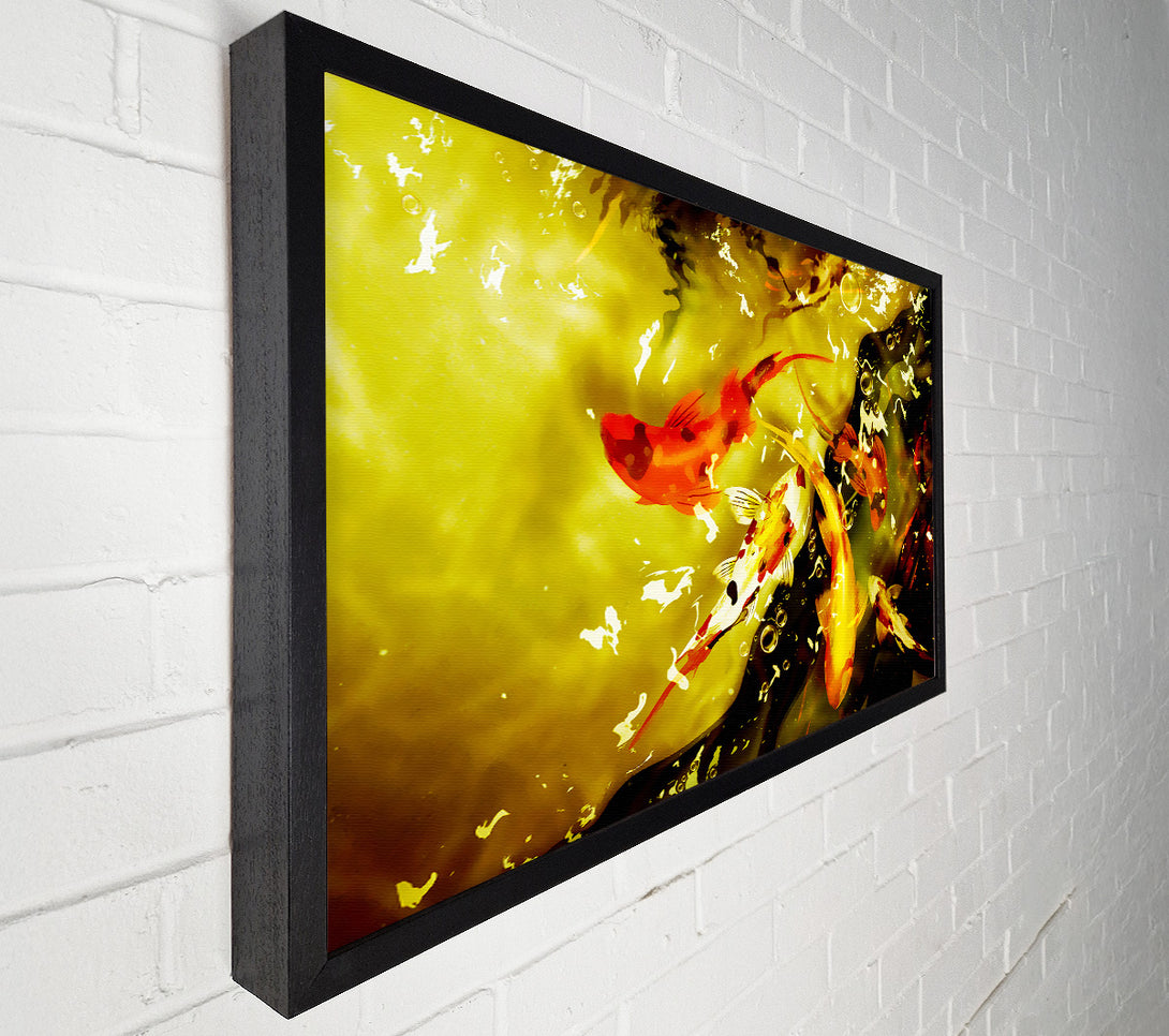  A Canvas Print of Carp Play Canvas Print