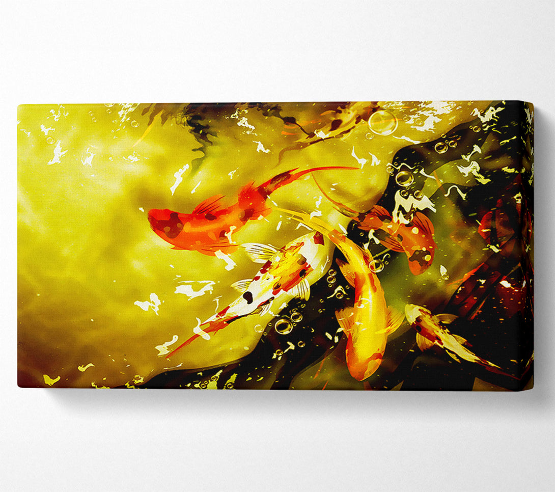  A Canvas Print of Carp Play Canvas Print