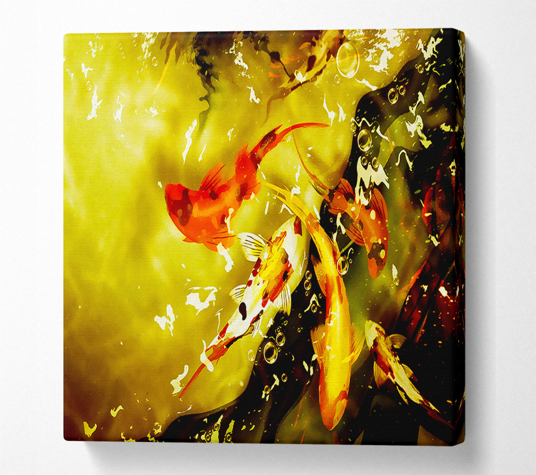  A Canvas Print of Carp Play Canvas Print