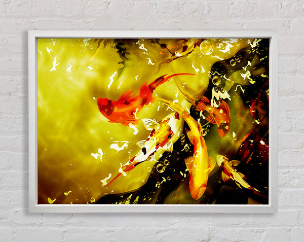 Carp Play Framed Print