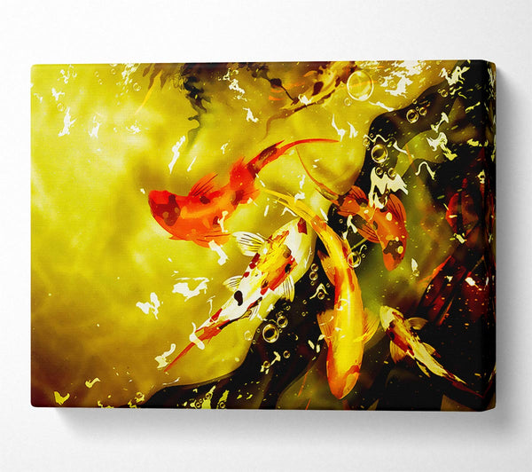  A Canvas Print of Carp Play Canvas Print