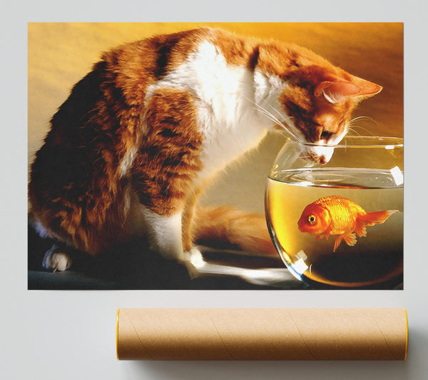 Cat And Fish Poster