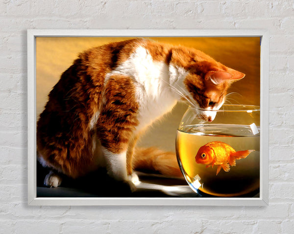 Katze und Fisch