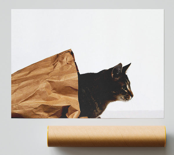 Cat In A Bag Giclee Print