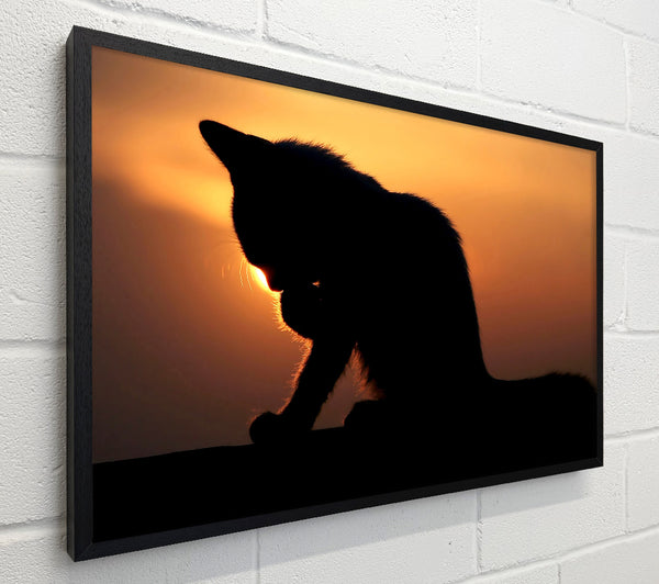 Cat In The Sunset