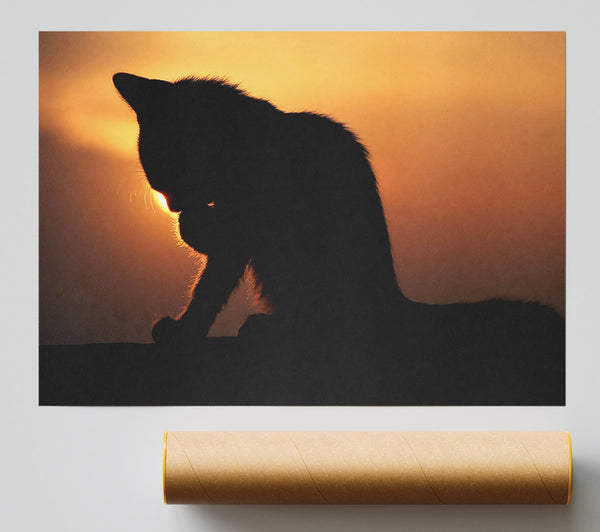Cat In The Sunset Print