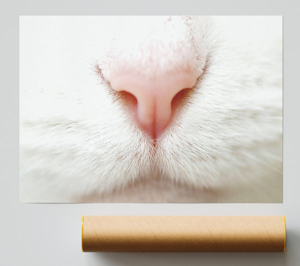 Cat Nose 2 Poster