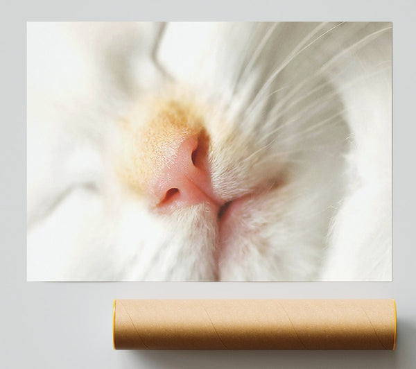 Cat Nose Print