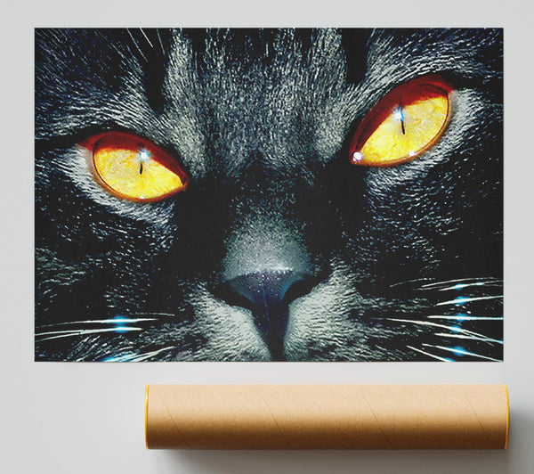 Cats Eyes Poster
