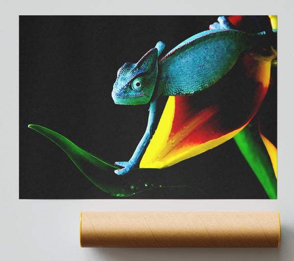 Chameleon In Blue Giclee Print