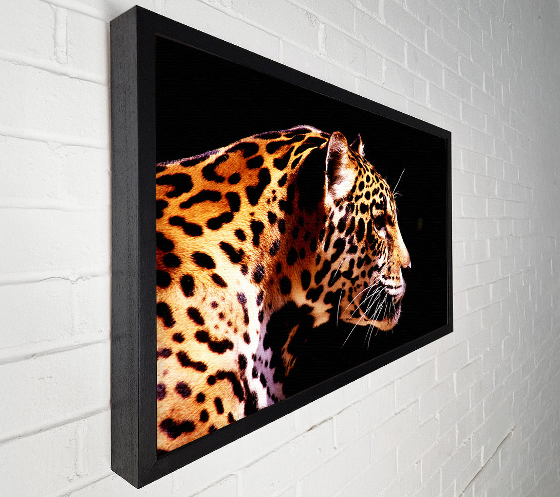  A Canvas Print of Cheetah Alert Canvas Print