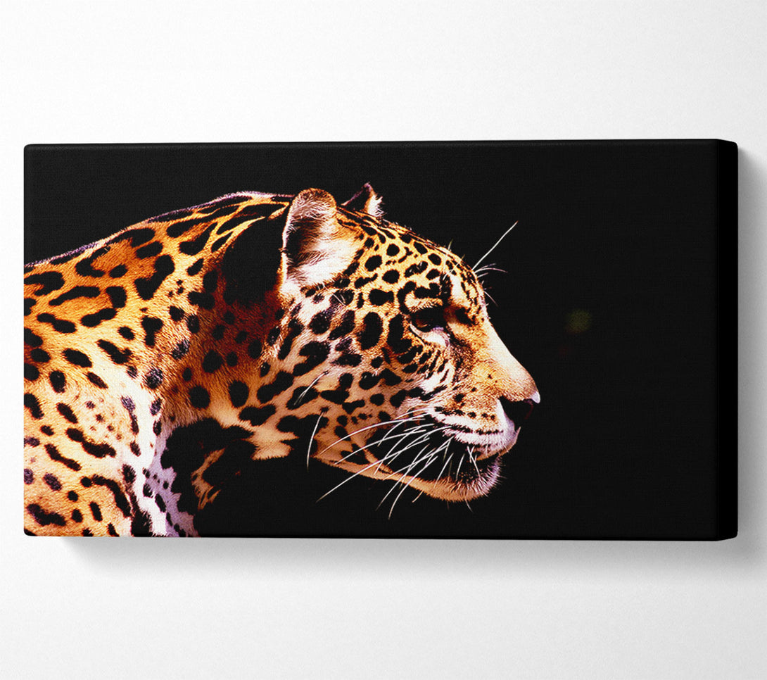  A Canvas Print of Cheetah Alert Canvas Print