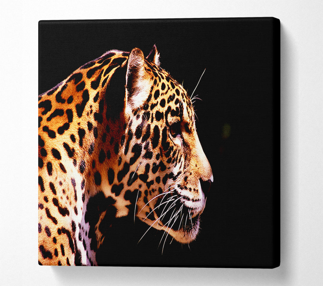  A Canvas Print of Cheetah Alert Canvas Print