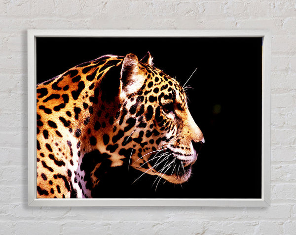 Cheetah Alert Framed Print