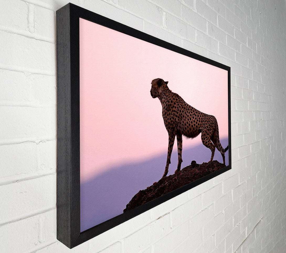  A Canvas Print of Cheetah Habitat Canvas Print