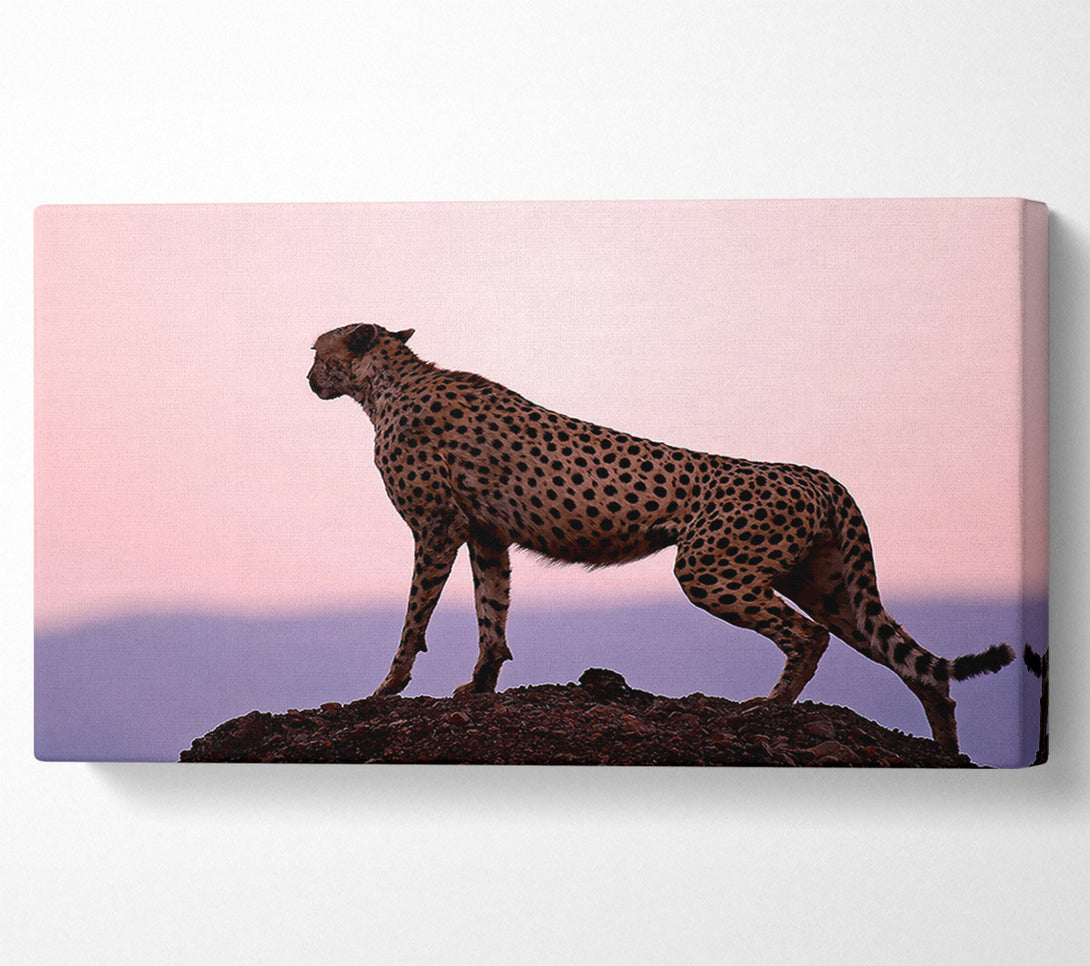  A Canvas Print of Cheetah Habitat Canvas Print