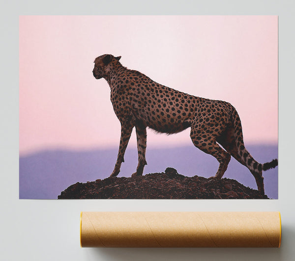 Cheetah Habitat Giclee Print