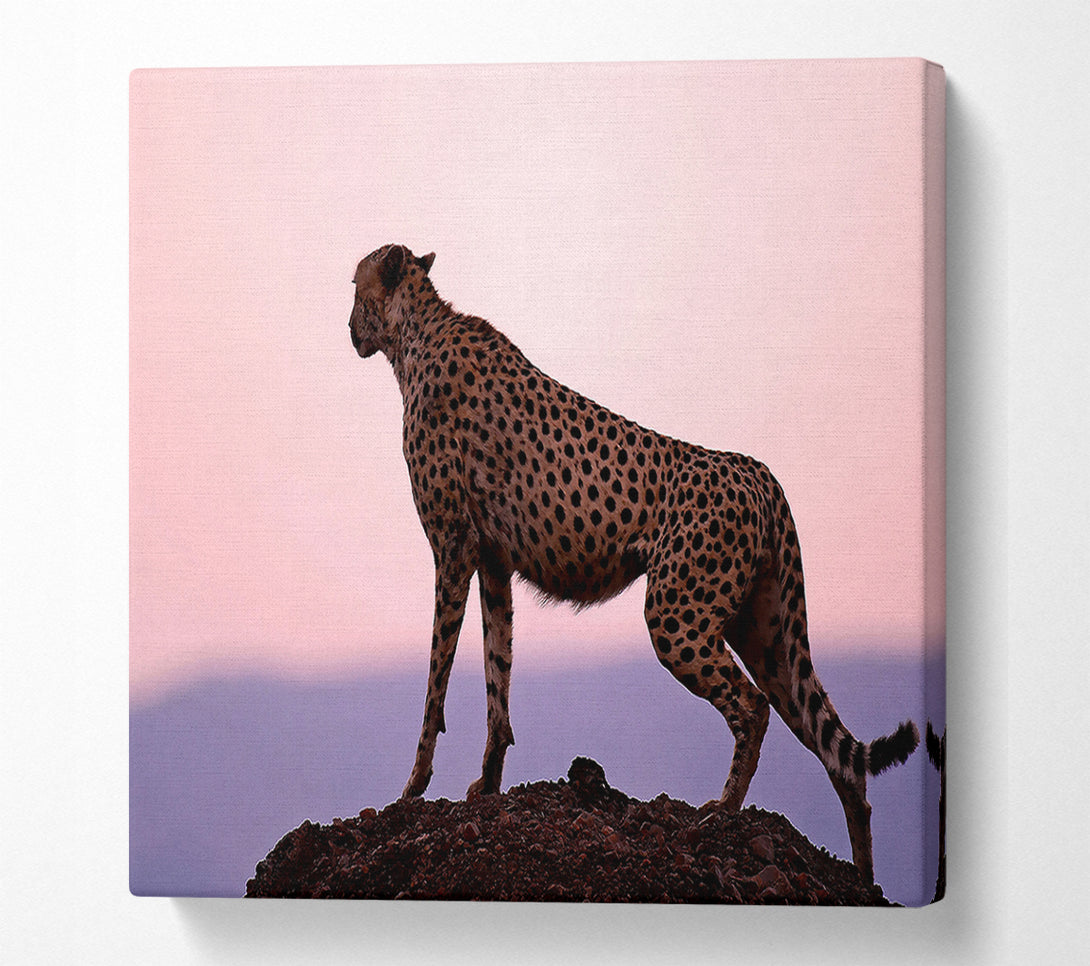  A Canvas Print of Cheetah Habitat Canvas Print